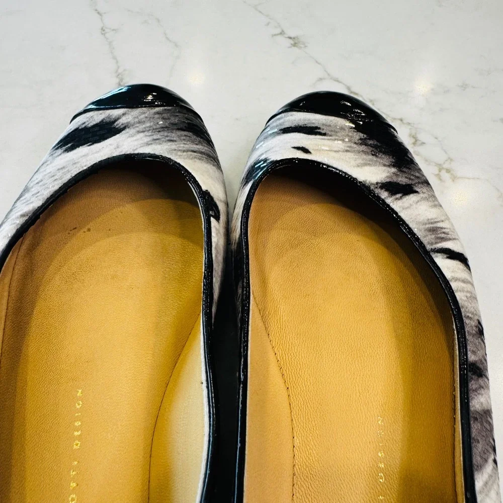 Giuseppe Zanotti giuseppe zanotti